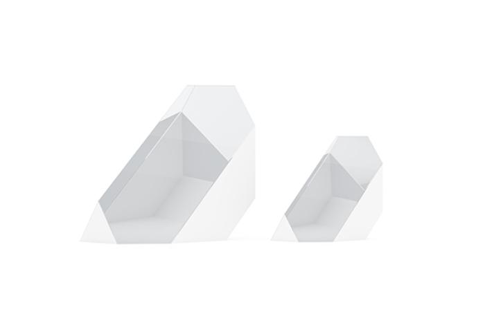 Amici Roof Prisms