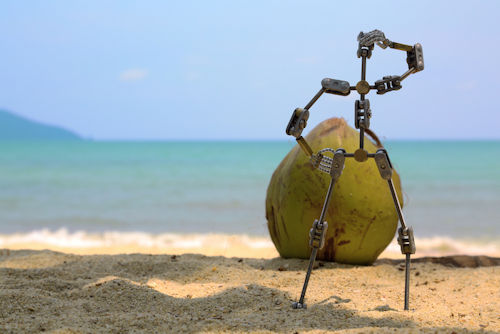 robotic coconut harvester
