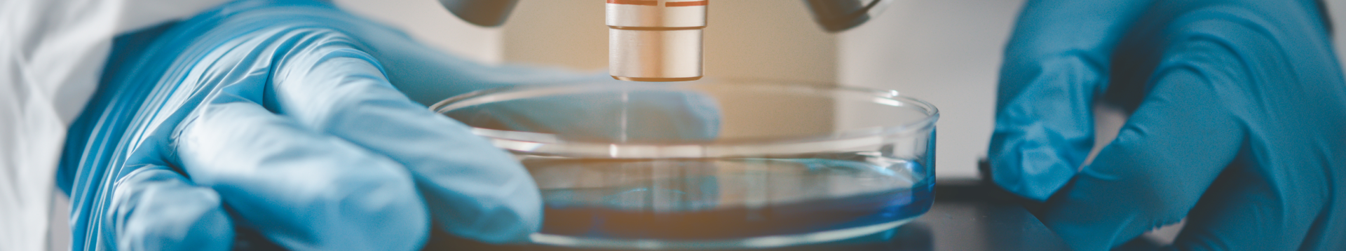 Knight Optical Custom Optical Components - Page Header - Optics Laboratory