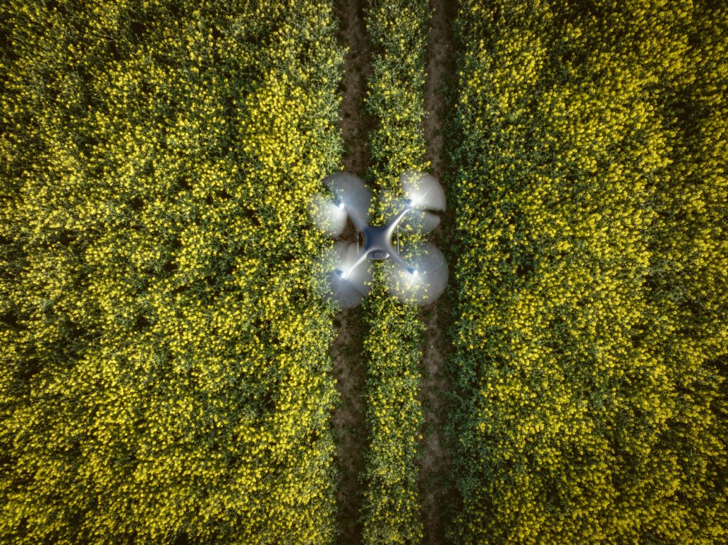 Crop Monitoring