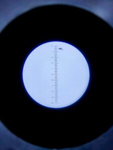 Microscope reticle